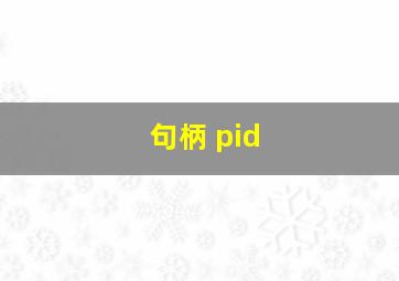 句柄 pid